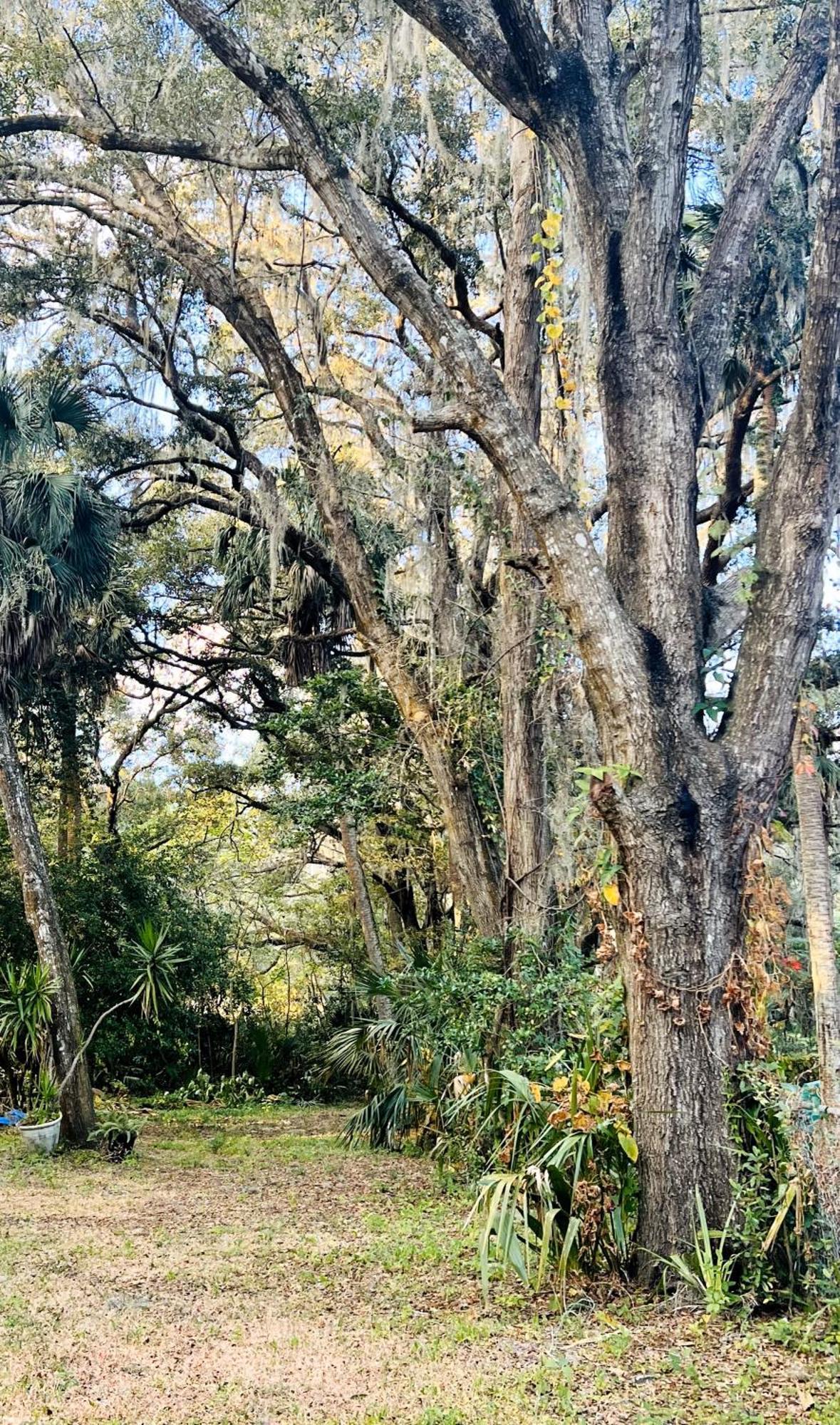 Country Welcome Micanopy Buitenkant foto