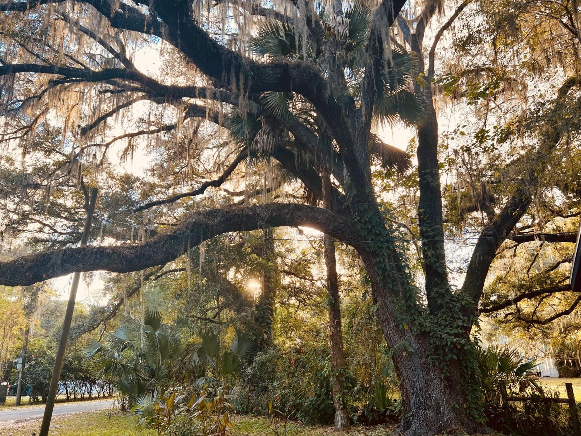 Country Welcome Micanopy Buitenkant foto
